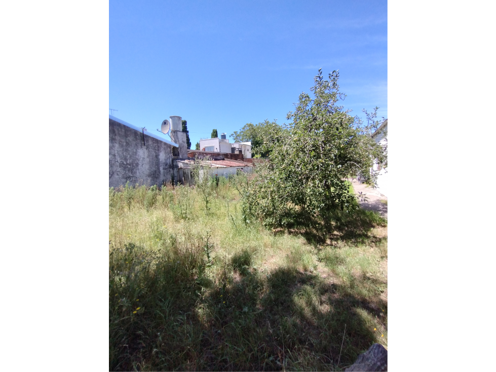 venta Lote de gran Superficie — foto 2