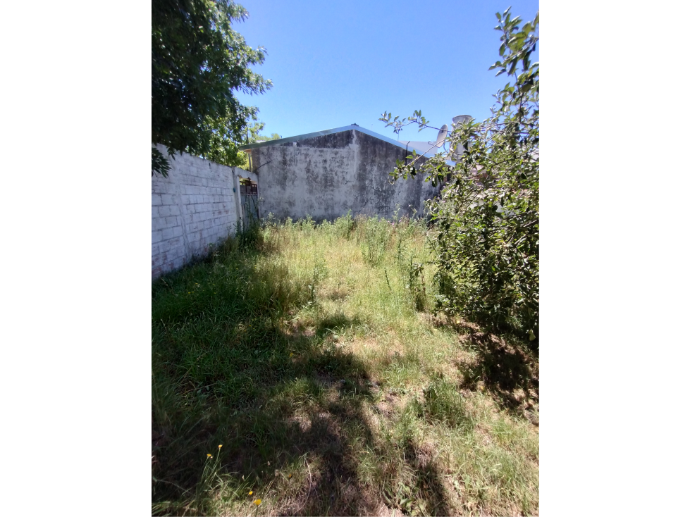 venta Lote de gran Superficie — foto 3