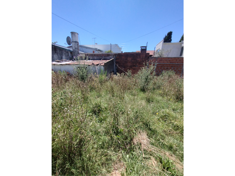 venta Lote de gran Superficie — foto 4
