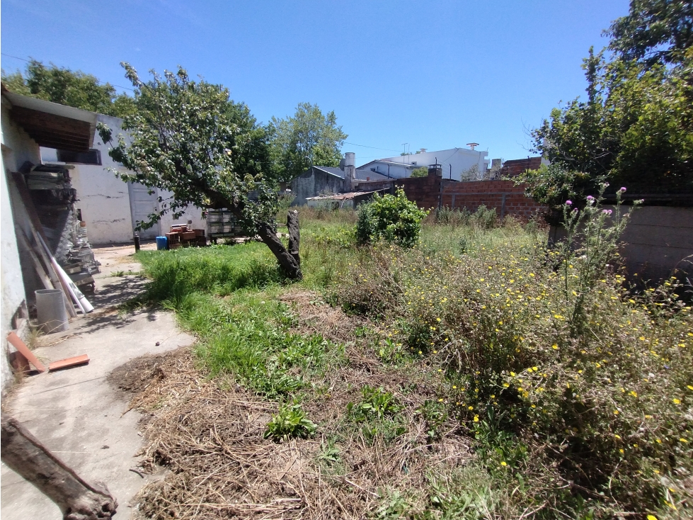 venta Lote de gran Superficie — foto 5