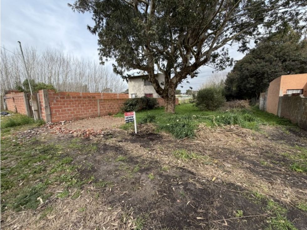 Lote en Venta - 1