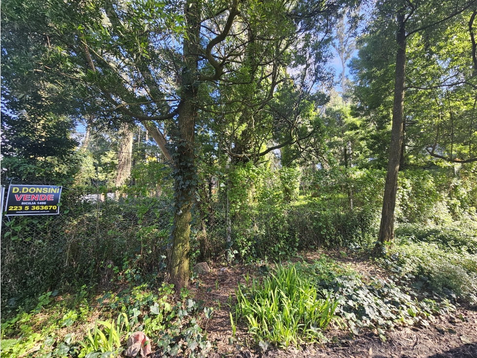 lote a la venta en el bosque p .ramos - 2