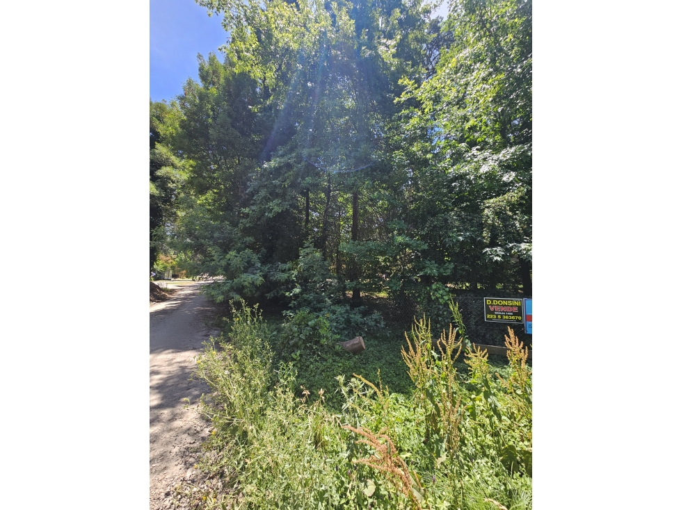 lote a la venta bosque peralta ramos — foto 2