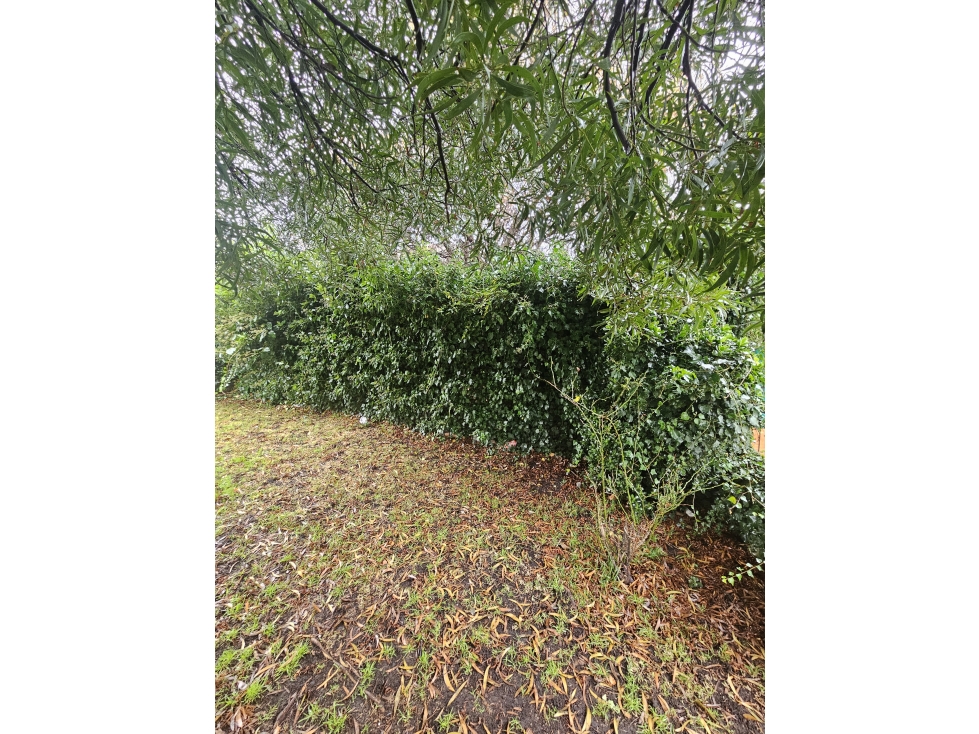 lote a la venta Punta Mogotes — foto 3