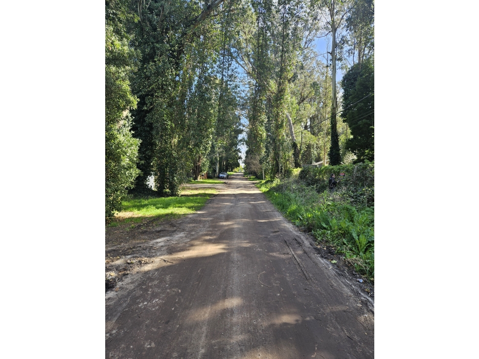lote a la venta en el bosque p .ramos - 4