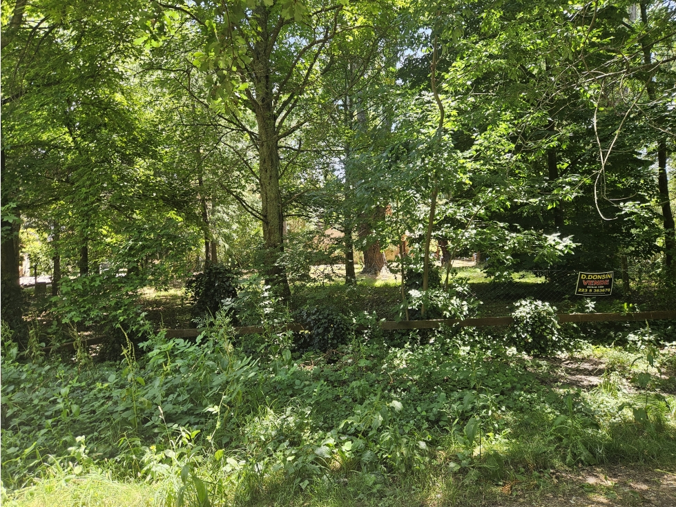 lote a la venta bosque peralta ramos