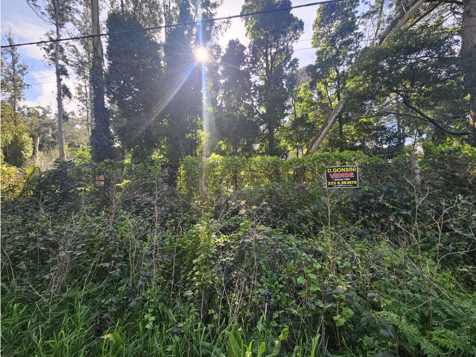 lote a la venta en el bosque p .ramos - 5