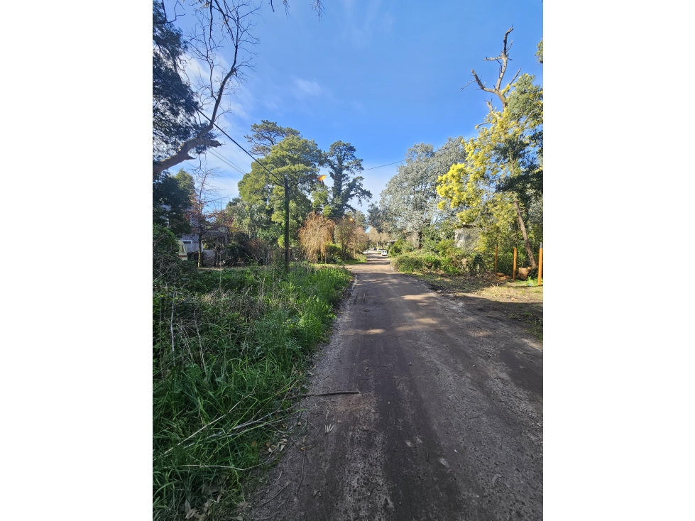 lote a la venta en el bosque p .ramos - 6