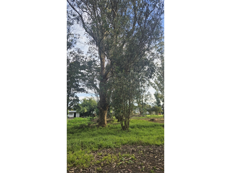 Lote de 15m x 42,5m a metros del Golf Los Acantilados - 2