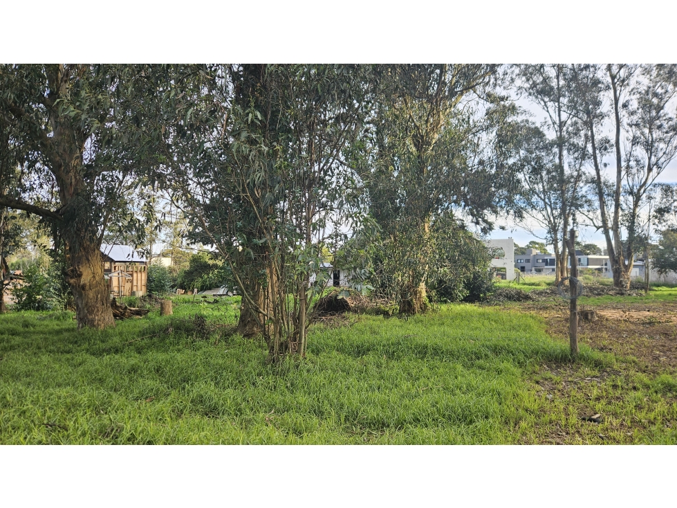 Lote de 15m x 42,5m a metros del Golf Los Acantilados - 3