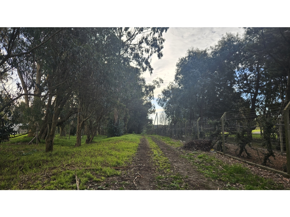 Lote de 15m x 42,5m a metros del Golf Los Acantilados - 6