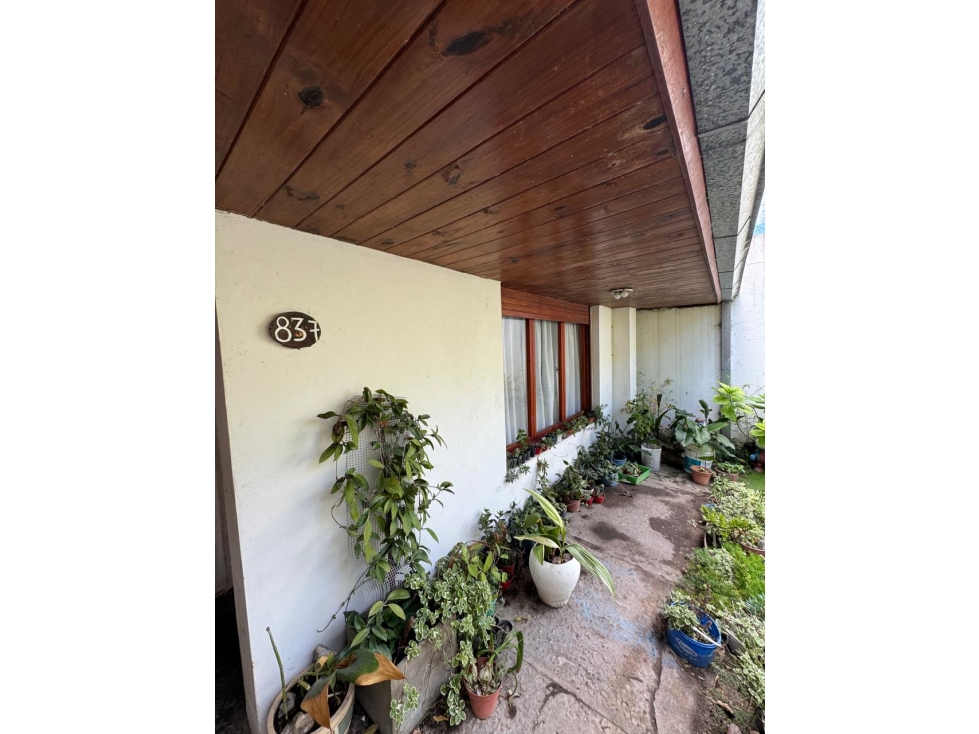 CHALET DE 6 AMBIENTES CON QUINCHO - BARRIO LOS PINARES — foto 5
