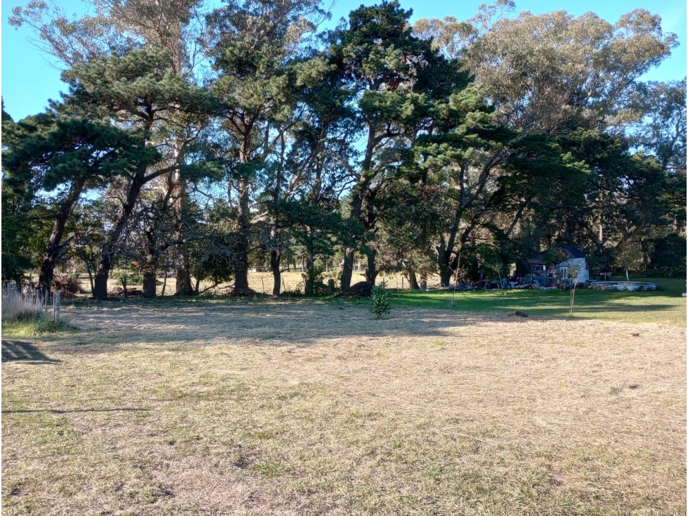 SIERRA DE LOS PADRES - LOTE DE 15 X 43 - 5