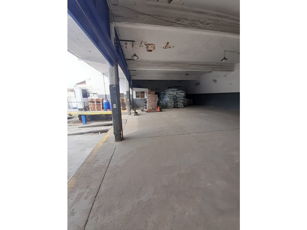 VENTA GALPON 1050 M2 SOBRE TRES LOTES UNIFICADOS - 5