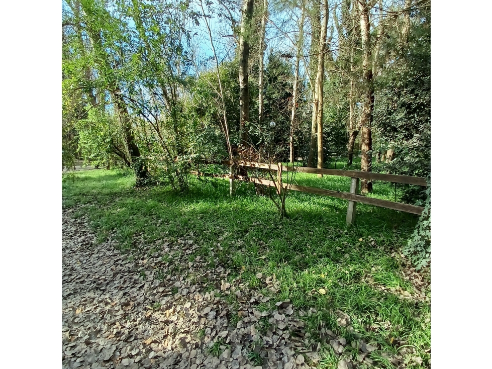 VENTA OPORTUNIDAD CHALET S/ DOS LOTE 1500 M2 MAR DE COBO — foto 3