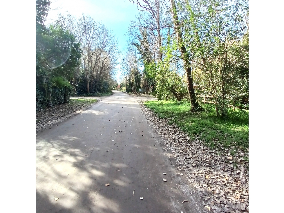 VENTA OPORTUNIDAD CHALET S/ DOS LOTE 1500 M2 MAR DE COBO — foto 4