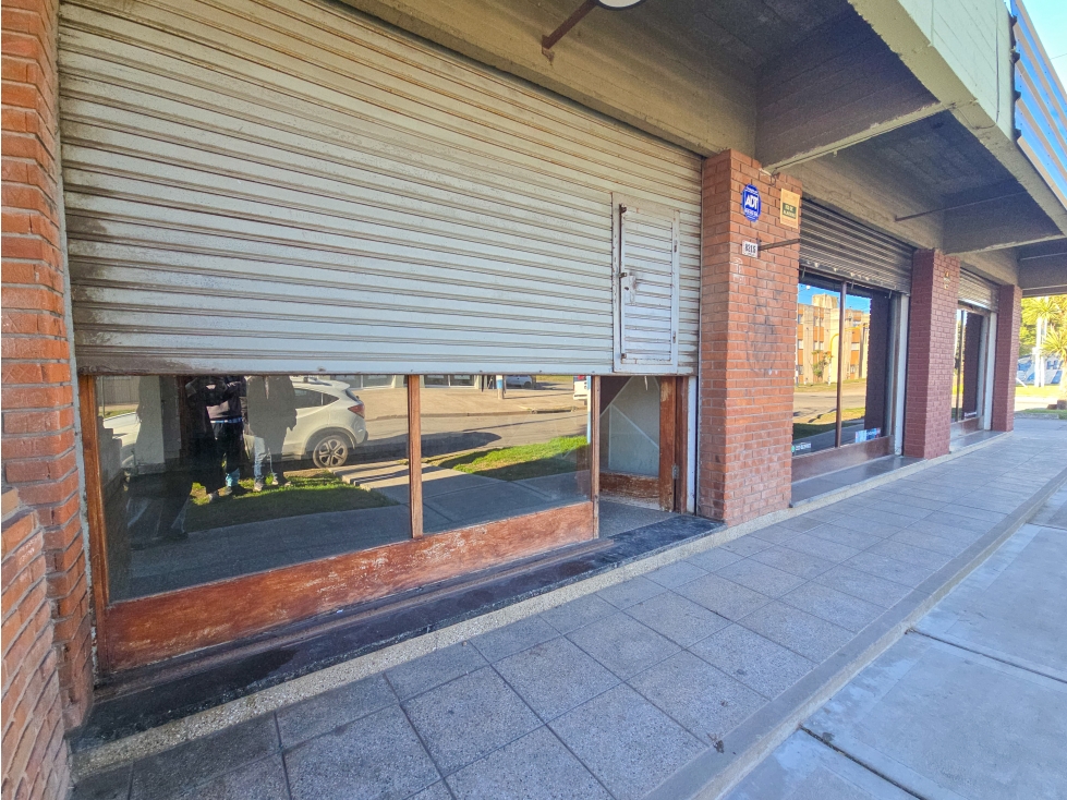 Local de 20m2 - Ayolas y Av. Polonia - 1