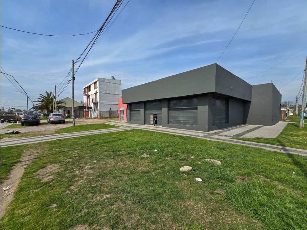 Local 336 m2 - Av. Fortunato de la Plaza (ex 39) y Udine - 2