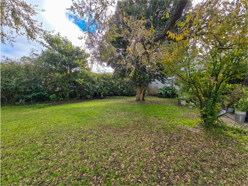 Lote de esquina 265m2 - Santa Fe y Larrea - 4