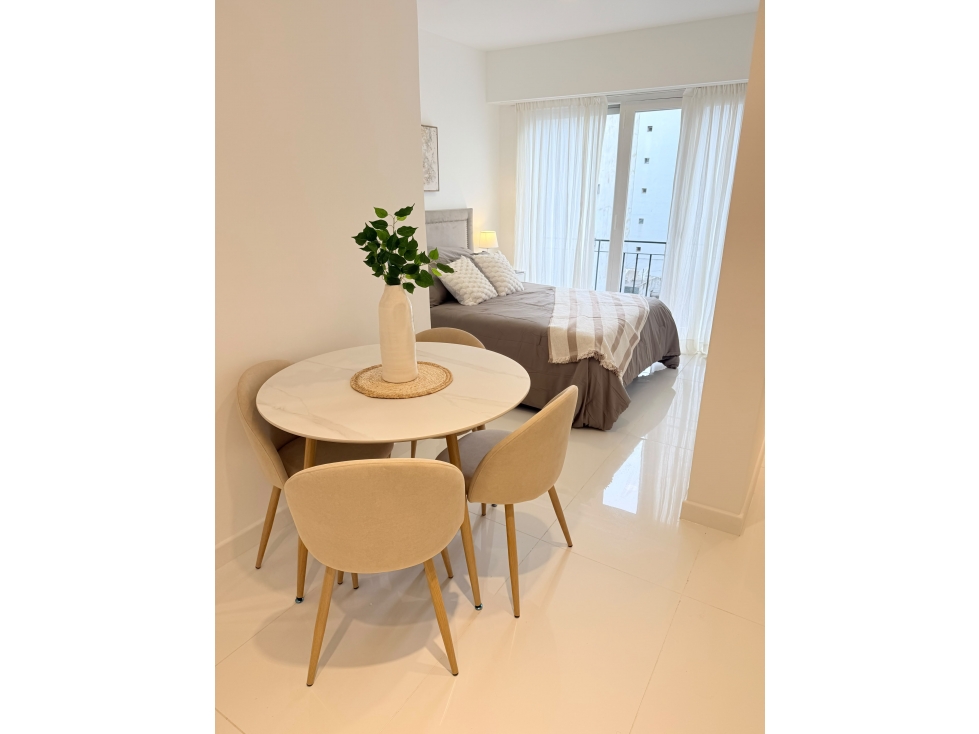 VENTA/ DEPARTAMENTO MONO AMBIENTE A LA CALLE/MAR DEL PLATA — foto 3