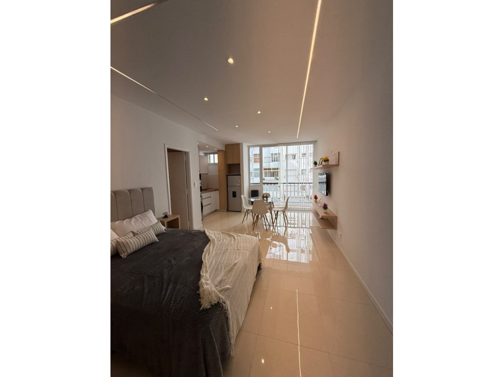 VENTA/ DEPARTAMENTO 1 AMBIENTES LATERAL/ MAR DEL PLATA - 2