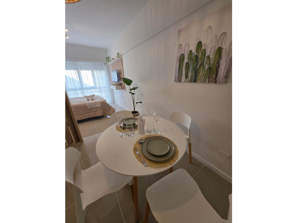 VENTA/ DEPARTAMENTO 1 AMBIENTE LATERAL/ MAR DEL PLATA — foto 4