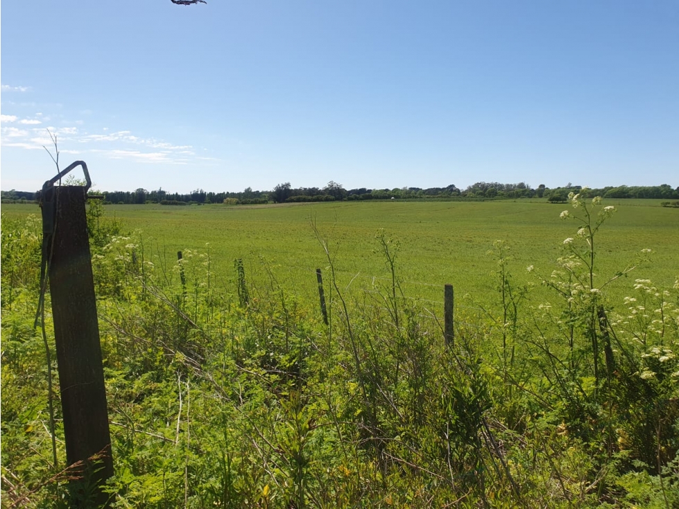 VENTA / LOTE 3 Y 1/2 HECTAREAS / SIERRA DE LOS PADRES