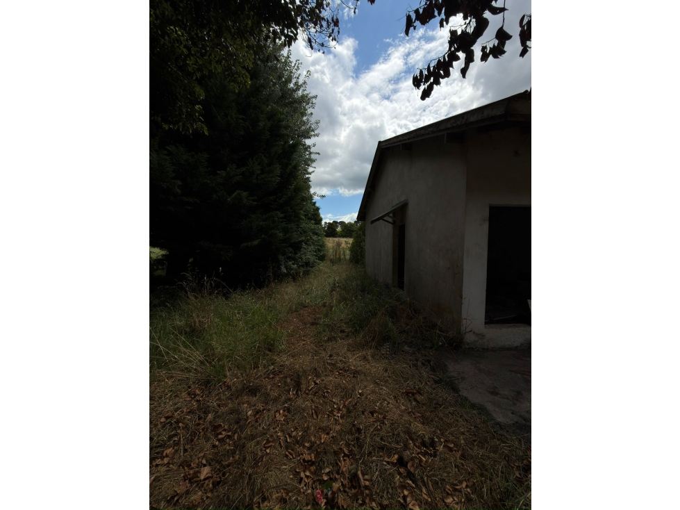VENTA / LOCAL / SIERRA DE LOS PADRES — foto 3