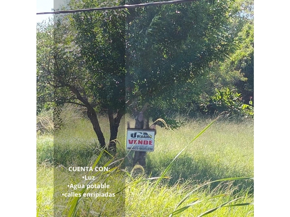 TERRENO - COLONIA BENITEZ - 2