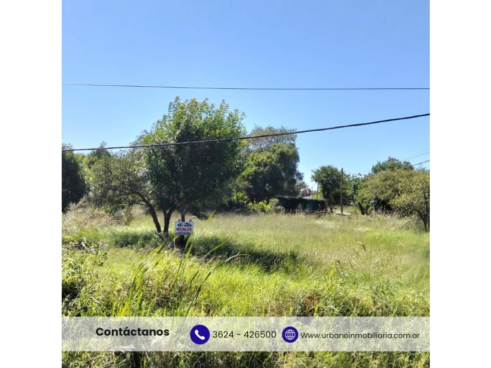 TERRENO - COLONIA BENITEZ - 3