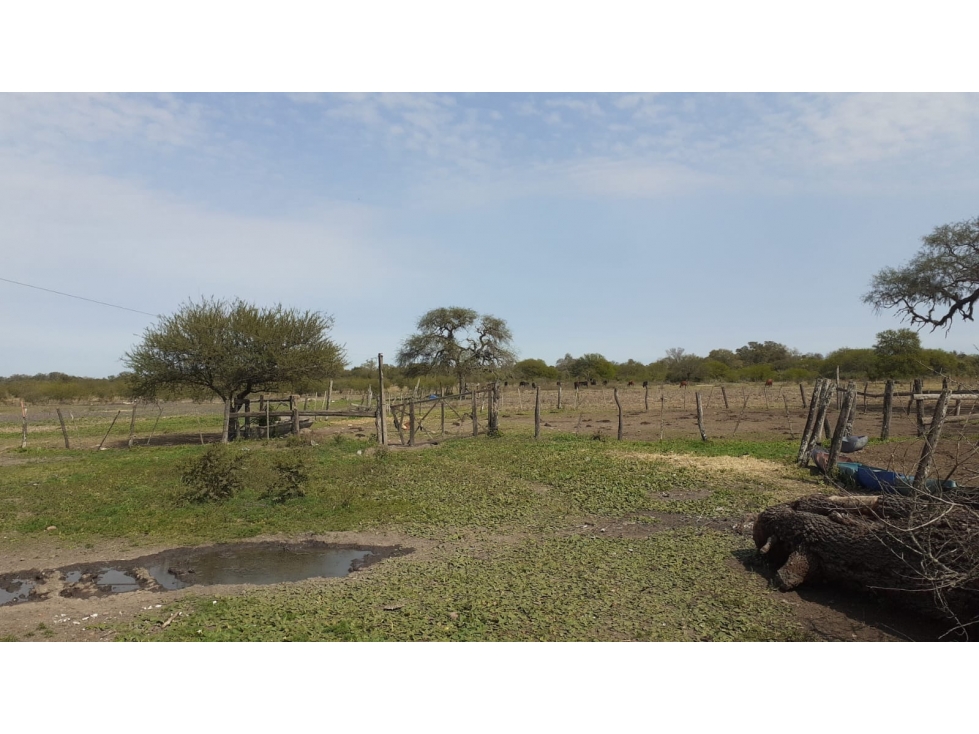 CAMPO EN VILLA JALON - 2