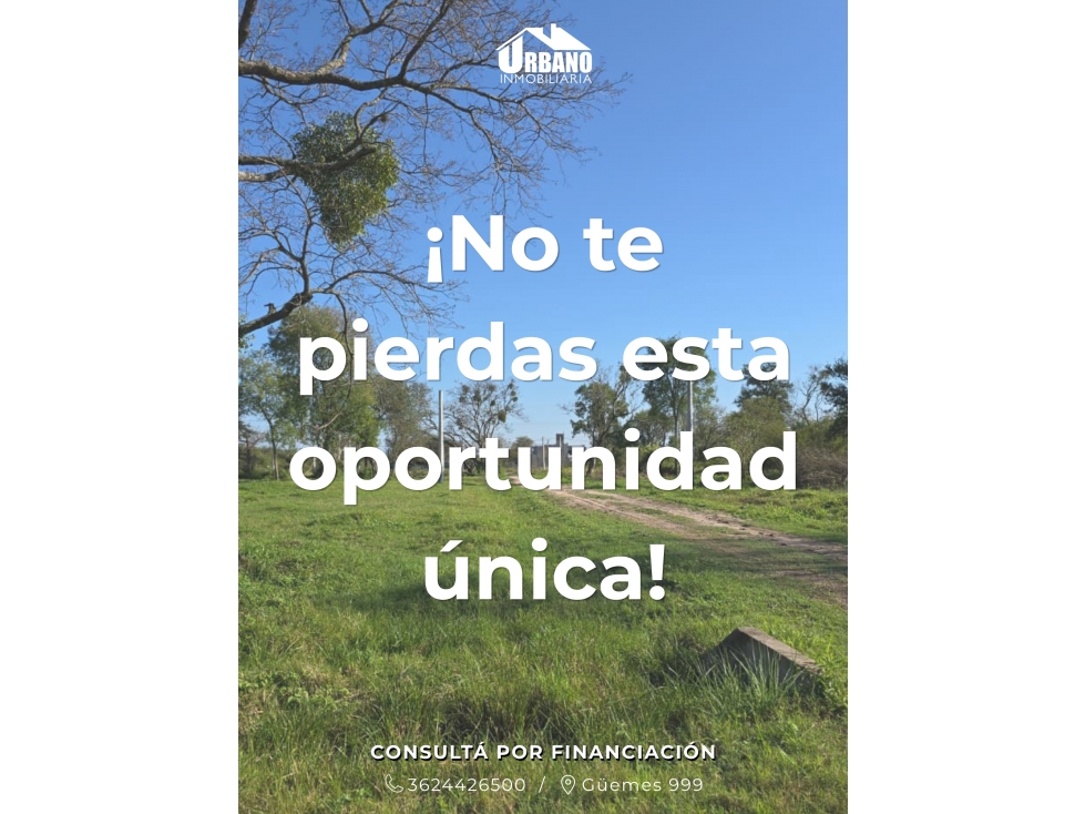 TERRENO EN VENTA - BARRIO NORTE - 3