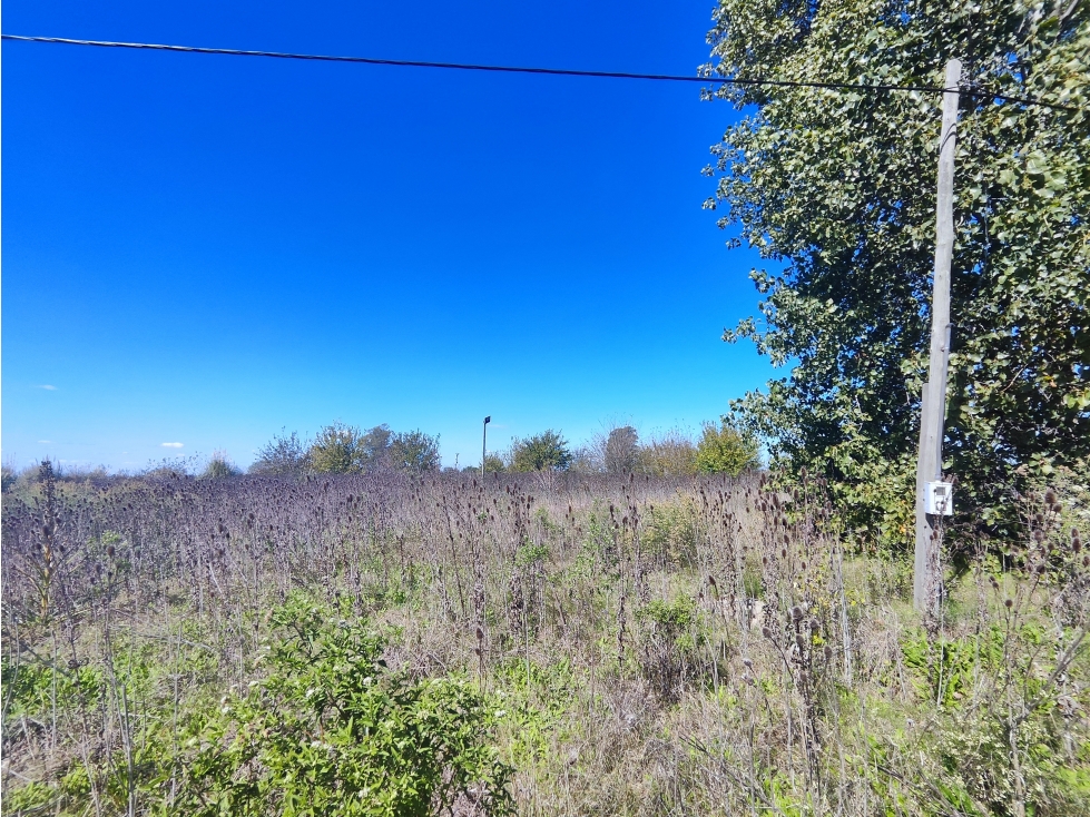 Fraccion de Campo en San Andres de Giles - 3