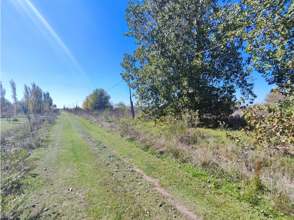 Fraccion de Campo en San Andres de Giles - 3