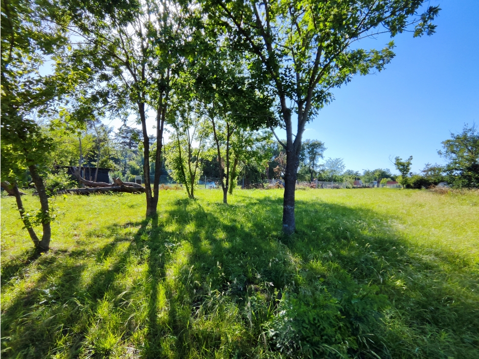 Terreno en Venta Olivera Luján 2914 m2 Lote 12 — foto 2