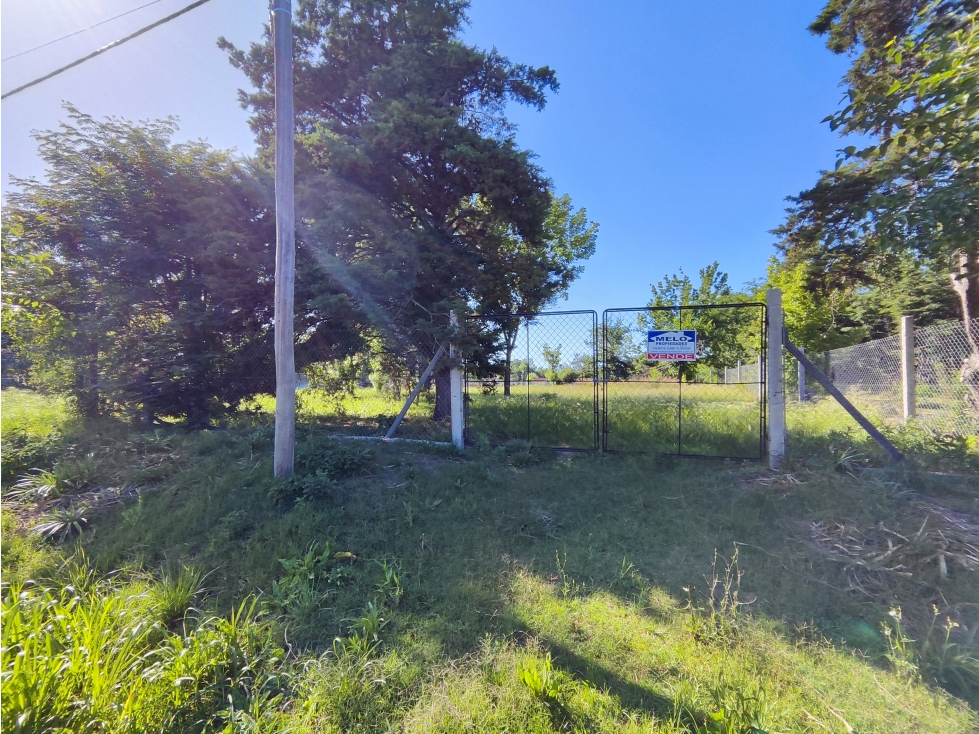 Terreno en Venta Olivera Luján 2914 m2 Lote 12