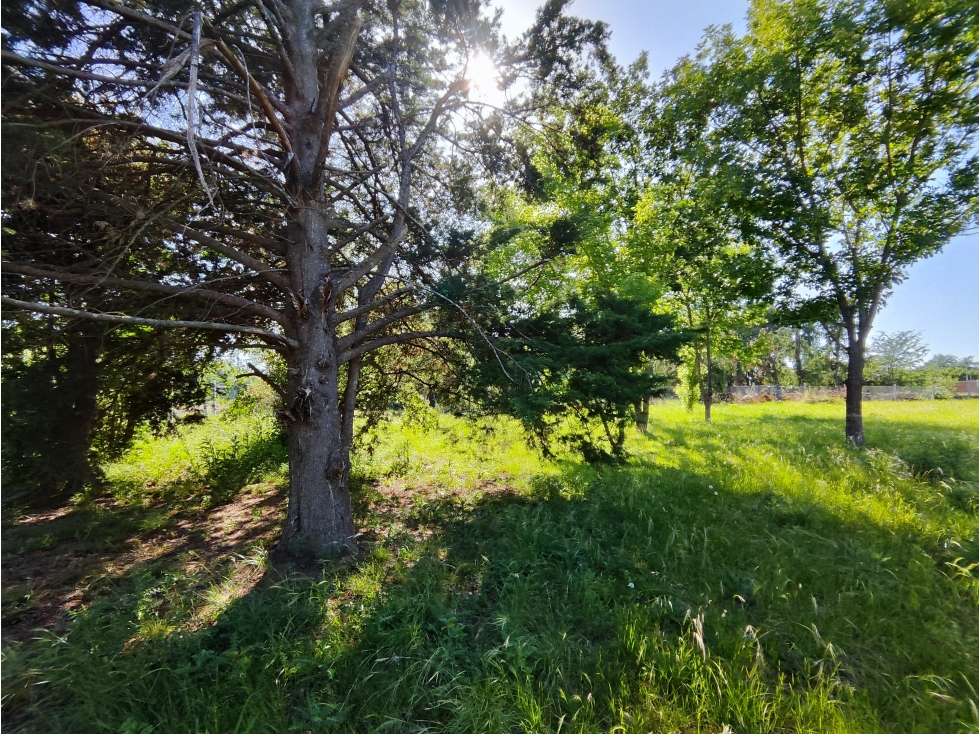 Terreno en Venta Olivera Luján 2914 m2 Lote 12 — foto 5