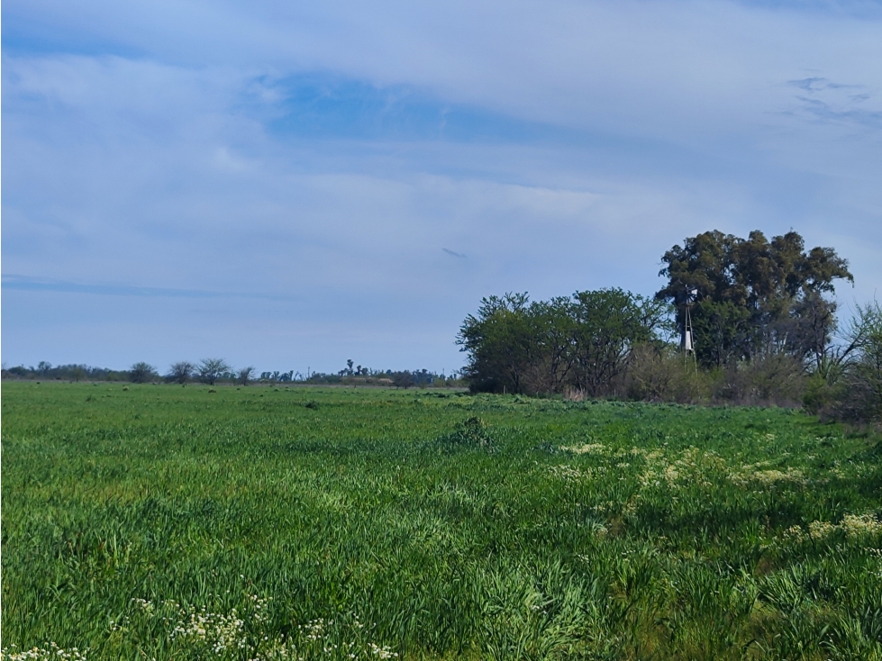 35 Has Agricolas en Lujan Ruta 47 - 3