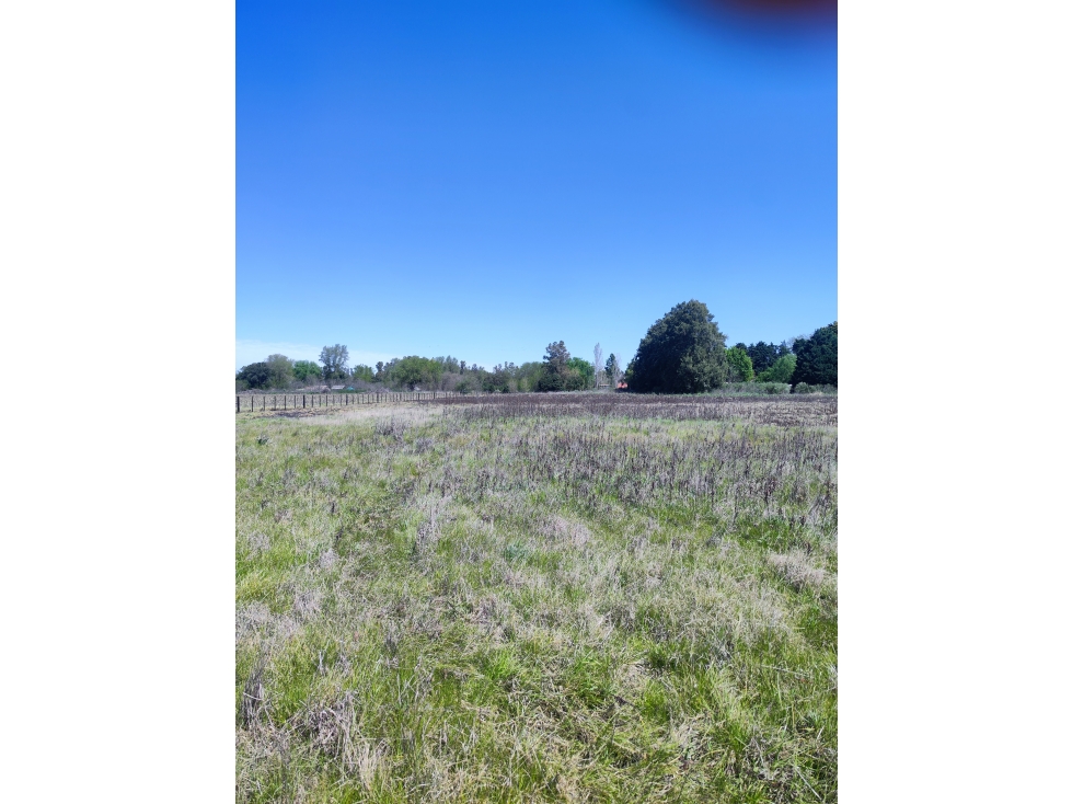 Lote Unico de 1 Ha en Carlos Keen Lujan — foto 2