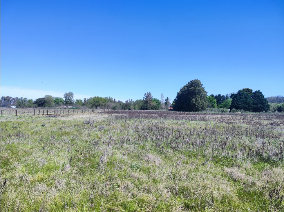 Lote Unico de 1 Ha en Carlos Keen Lujan