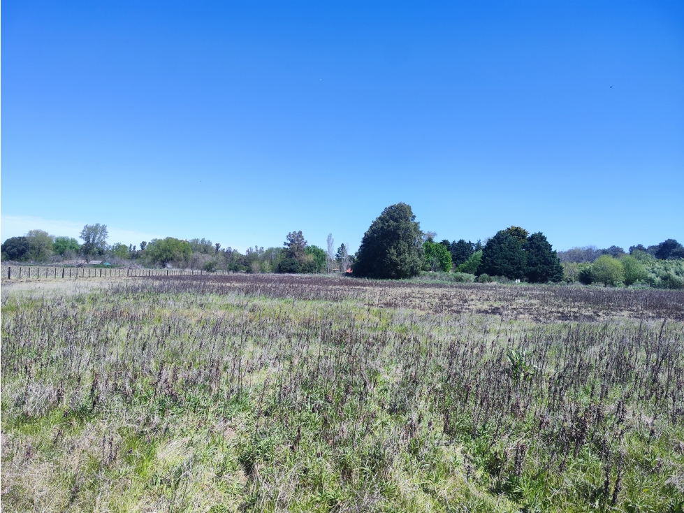 Lote Unico de 1 Ha en Carlos Keen Lujan — foto 3