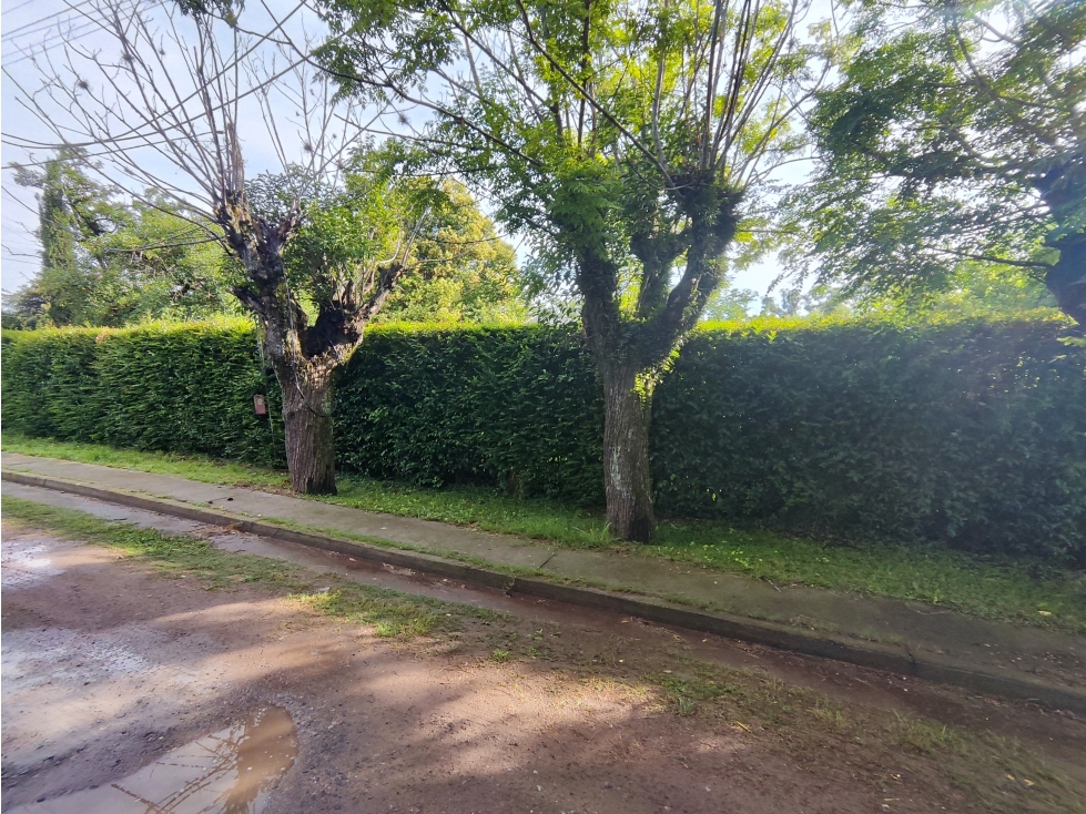 Lote en Open Door — foto 6