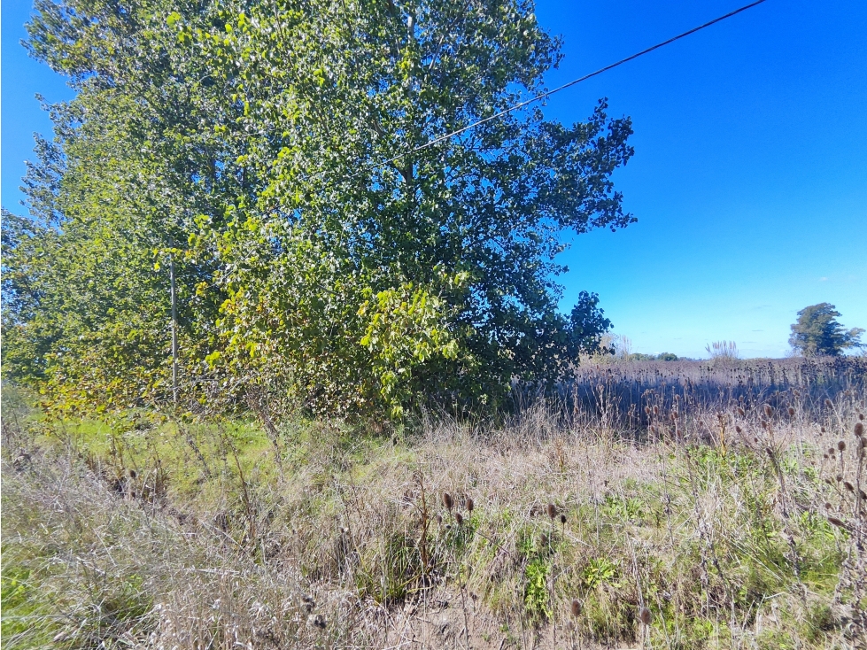 Fraccion de Campo en San Andres de Giles - 4