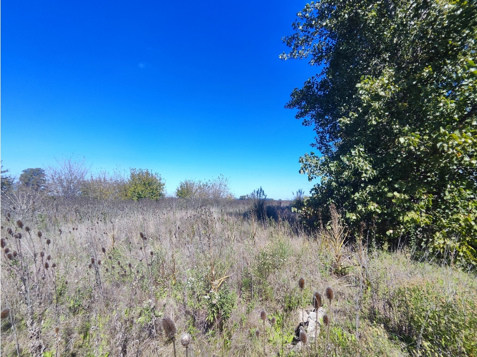 Fraccion de Campo en San Andres de Giles - 5