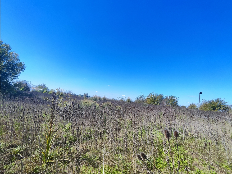 Fraccion de Campo en San Andres de Giles - 4