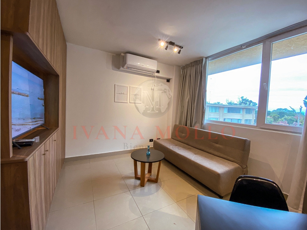 DEPARTAMENTO 226 MONOABIENTE CON DIVISION EN ALQUILER - PASEO EL AGORA - 1
