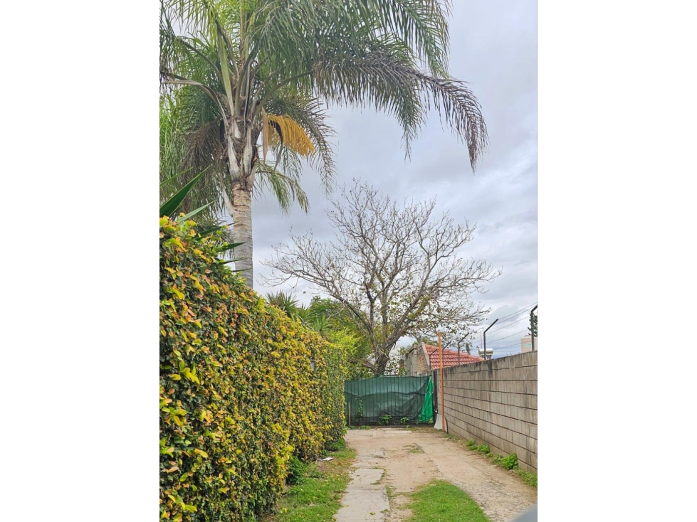 OPORTUNIDAD - CASA + 2 DPTOS - EXCELENTE UBICACION - ALTA RENTABILIDAD - 3