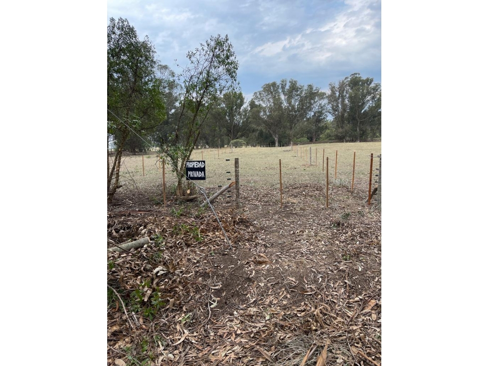terreno sobre 181 y 62 - 2
