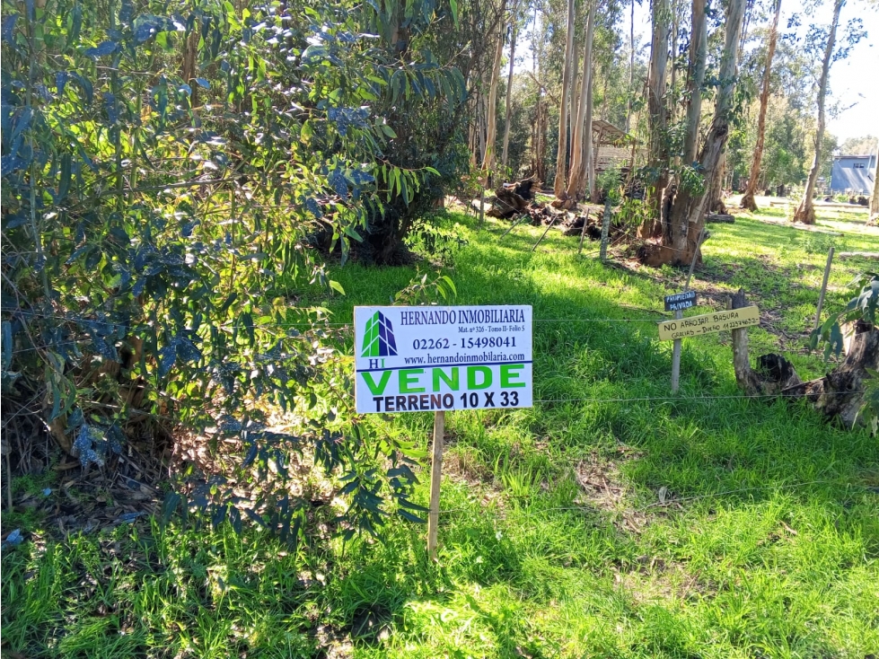 terreno Necochea calle 199 entre 66 y 64 - 3