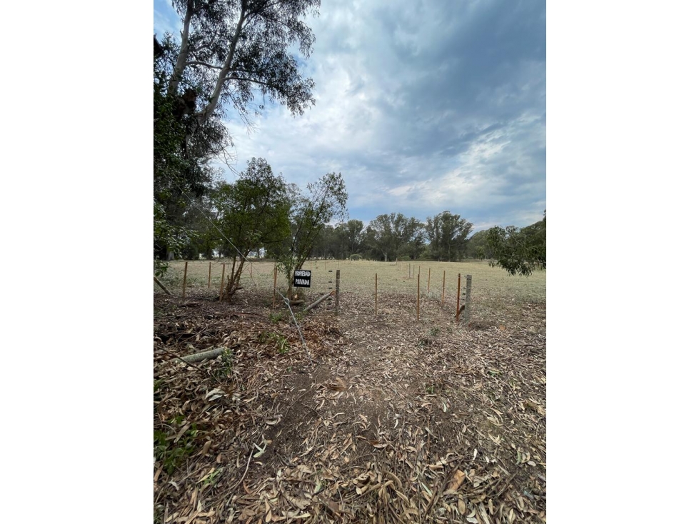 terreno sobre 181 y 62 - 3